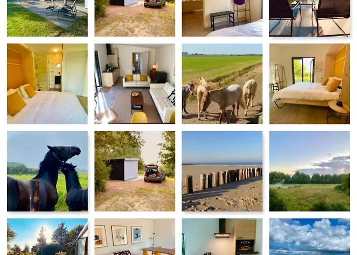 Natuurhuis Zeeuwse Rust Voor Wandelingen Aan Zee, Fietstochten In Natuur En Culinair Genieten