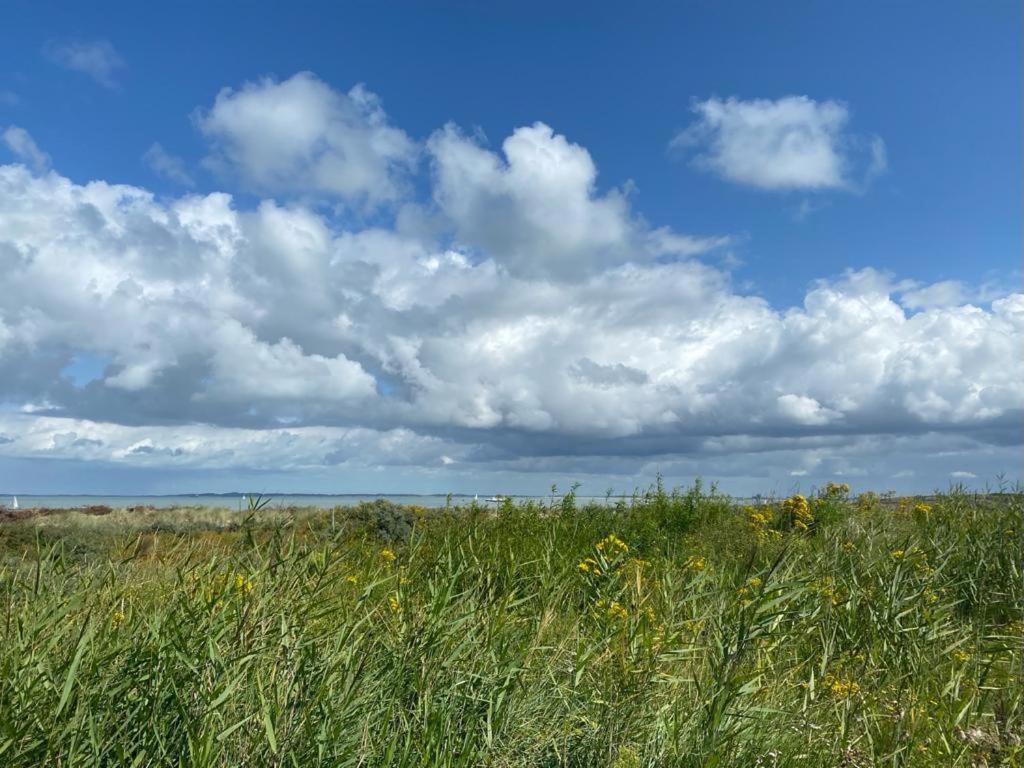Natuurhuis Zeeuwse Rust Voor Wandelingen Aan Zee, Fietstochten In Natuur En Culinair Genieten Holiday home