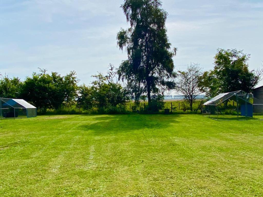 Holiday home Natuurhuis Zeeuwse Rust Voor Wandelingen Aan Zee, Fietstochten In Natuur En Culinair Genieten